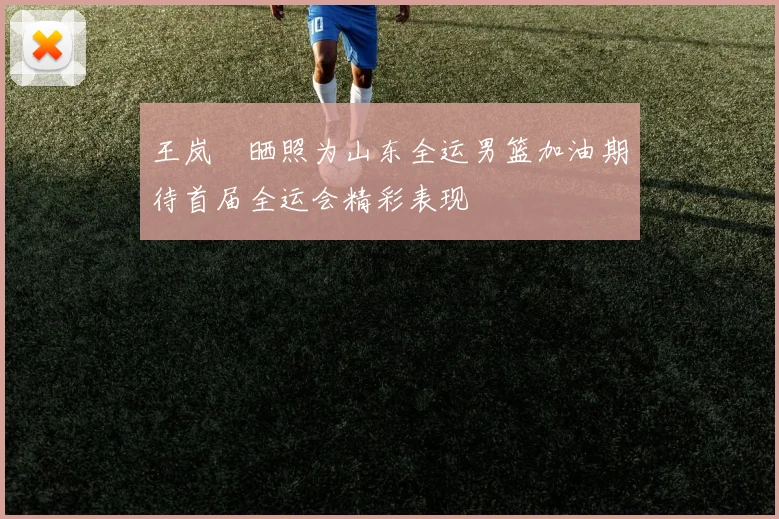 王岚嵚晒照为山东全运男篮加油期待首届全运会精彩表现