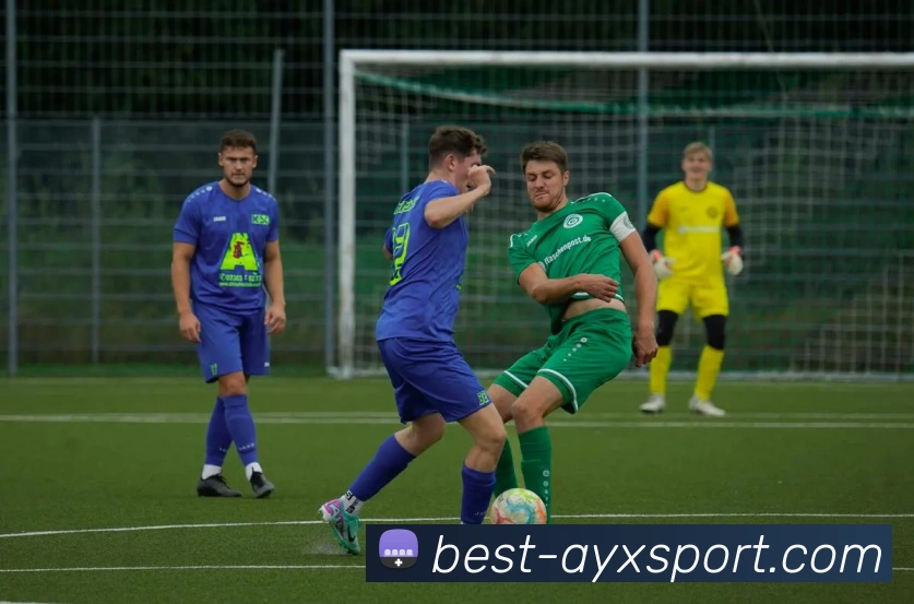 爱游戏体育发展历程